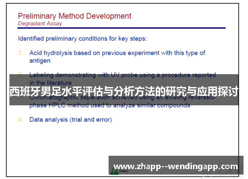 西班牙男足水平评估与分析方法的研究与应用探讨