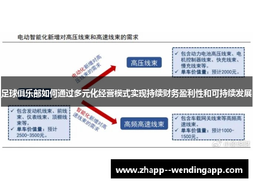 足球俱乐部如何通过多元化经营模式实现持续财务盈利性和可持续发展