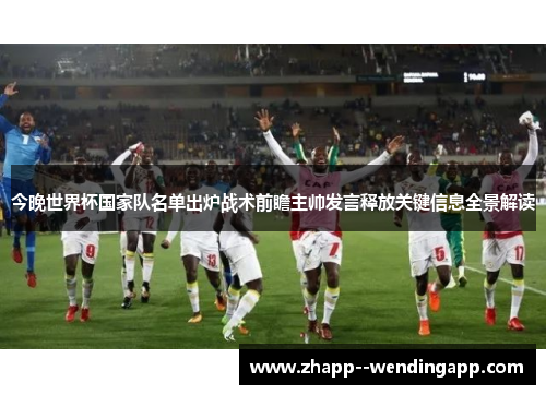 今晚世界杯国家队名单出炉战术前瞻主帅发言释放关键信息全景解读